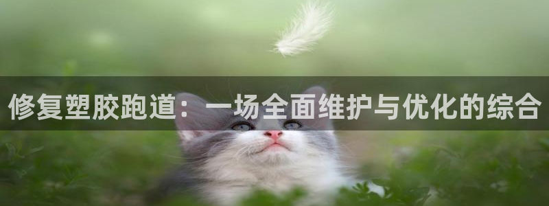 红足1世官网：修复塑胶跑道：一场全面维护与优化的综合