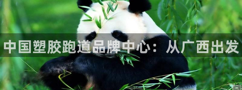 红足l一世开奖现场62ty：中国塑胶跑道品牌中心：从广西出发