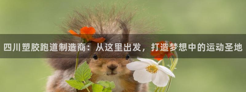 红足一1世官网比分：四川塑胶跑道制造商：从这里出发，打造梦想中的运动圣地