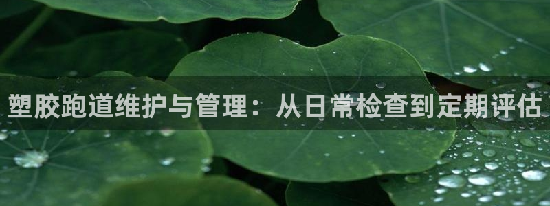 红足1世开奖预测：塑胶跑道维护与管理：从日常检查到定期评估