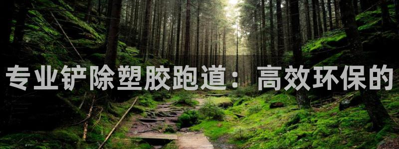 红足一1世官网：专业铲除塑胶跑道：高效环保的