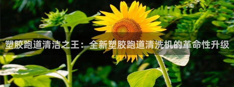 4633333开奖结果4176一点红：塑胶跑道清洁之王：全新塑胶跑道清洗机的革命性升级