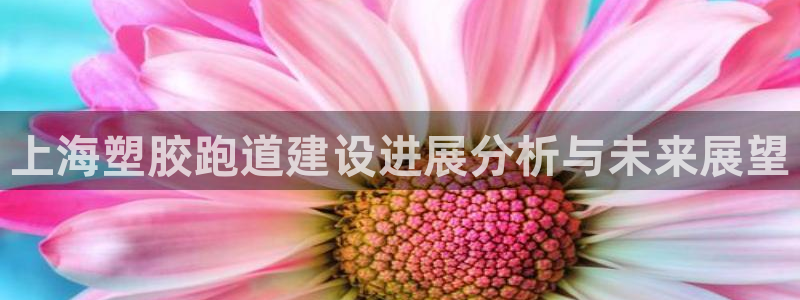 红足一一世足球网开奖记录：上海塑胶跑道建设进展分析与未来展望