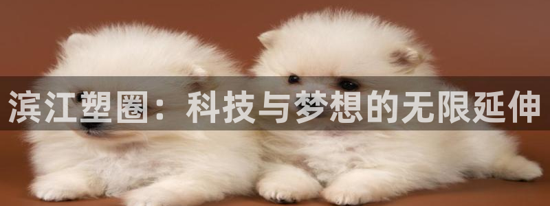红足1一世开奖版：滨江塑圈：科技与梦想的无限延伸
