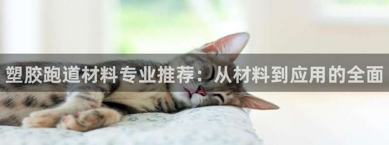红足1世足球比分预测：塑胶跑道材料专业推荐：从材料到应用的全面