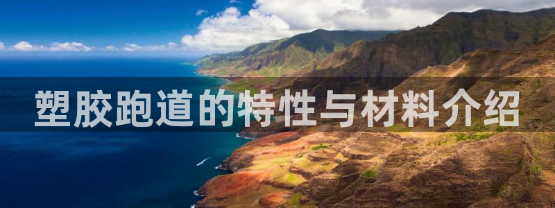 百度红足一1是干什么的：塑胶跑道的特性与材料介绍
