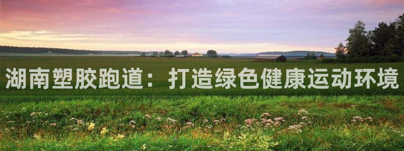 红足一1世手机版新皇冠：湖南塑胶跑道：打造绿色健康运动环境