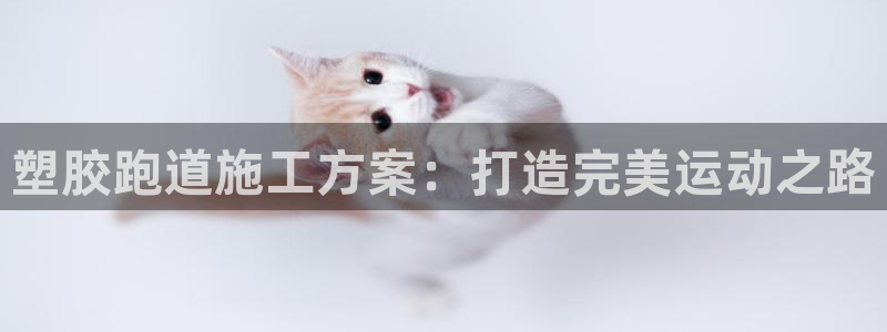 百度红足一1是干什么的:塑胶跑道施工方案:打造完美运动之路