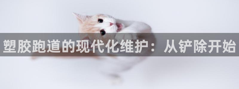 红足一1世皇冠登录:塑胶跑道的现代化维护:从铲除开始