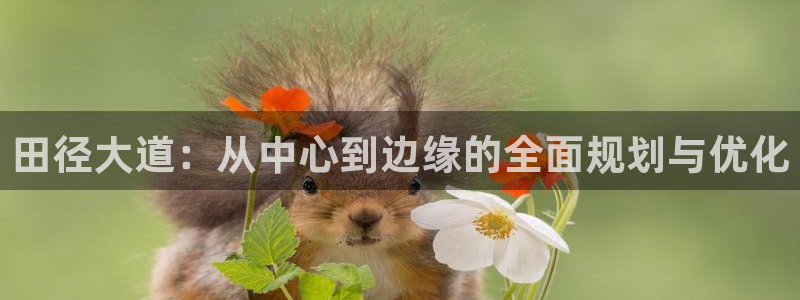 红足一1世66814：田径大道：从中心到边缘的全面规划与优化