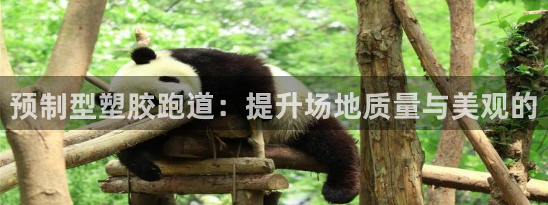 红足一丰：预制型塑胶跑道：提升场地质量与美观的