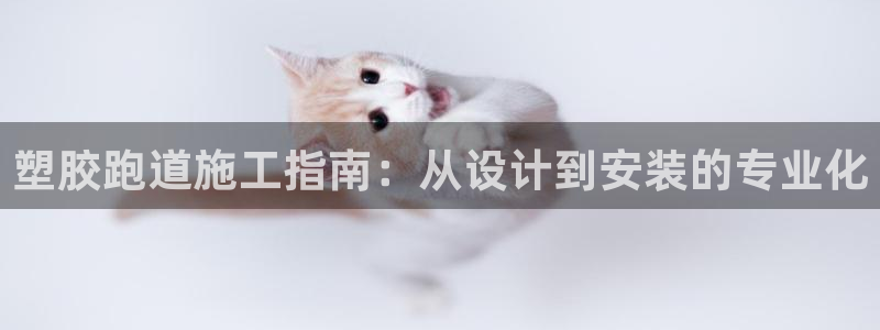 红足一1世66814：塑胶跑道施工指南：从设计到安装的专业化