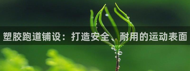 红足一1世平台：塑胶跑道铺设：打造安全、耐用的运动表面