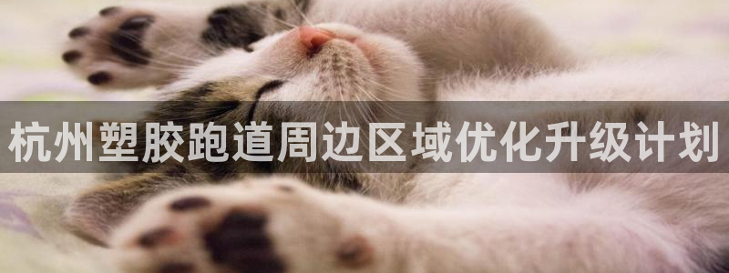 红足足球网：杭州塑胶跑道周边区域优化升级计划