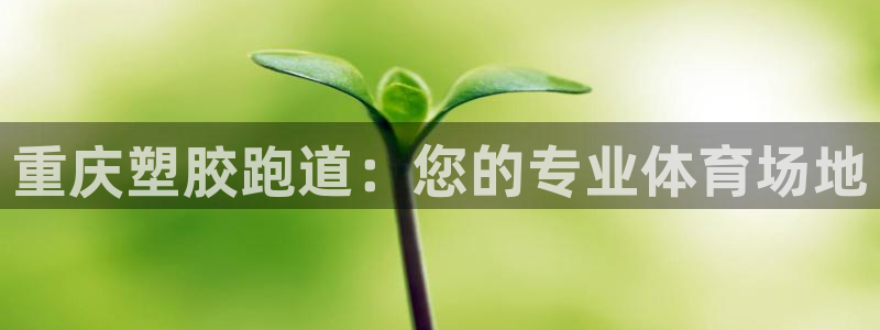 红足 世足球手机网：重庆塑胶跑道：您的专业体育场地