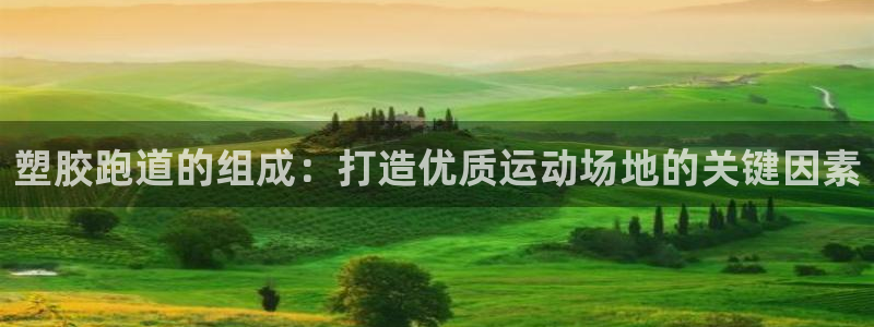 红足体育网：塑胶跑道的组成：打造优质运动场地的关键因素