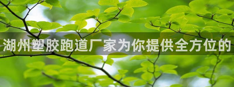 红足一1世77814：湖州塑胶跑道厂家为你提供全方位的