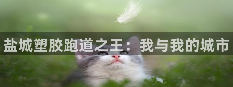 红足一丰：盐城塑胶跑道之王：我与我的城市