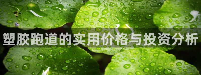红足一比分网：塑胶跑道的实用价格与投资分析