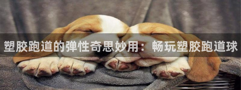 红足i世足球手机网：塑胶跑道的弹性奇思妙用：畅玩塑胶跑道球