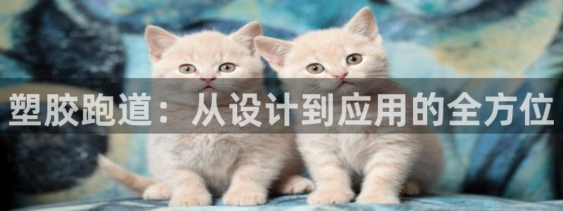 66814红足一66814世：塑胶跑道：从设计到应用的全方位