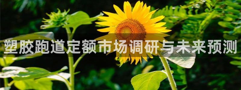 777814红·足一世比分：塑胶跑道定额市场调研与未来预测