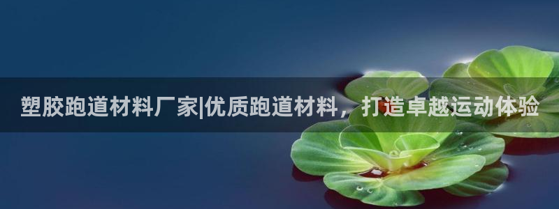 百度红足一1是什么样子的：塑胶跑道材料厂家|优质跑道材料，打造卓越运动体验