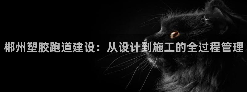 红足体育网：郴州塑胶跑道建设：从设计到施工的全过程管理