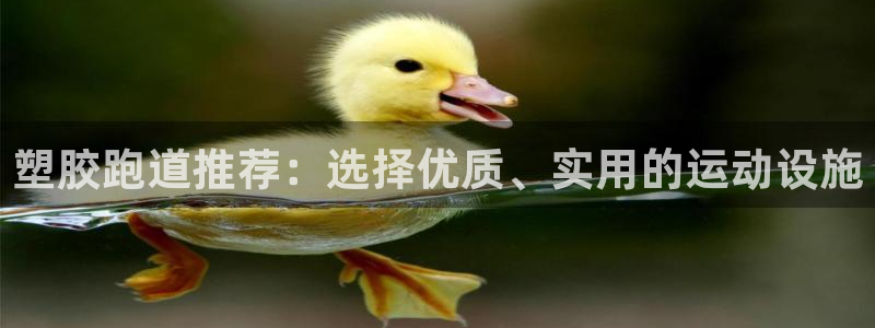 666814红·足一世比分：塑胶跑道推荐：选择优质、实用的运动设施