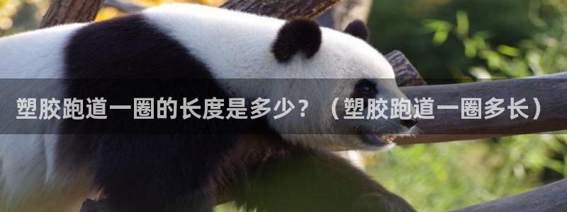 红足一1世比分球探：塑胶跑道一圈的长度是多少？（塑胶跑道一圈多长）