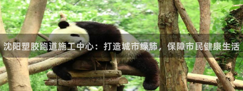 红足1世1站：沈阳塑胶跑道施工中心：打造城市绿肺，保障市民健康生活