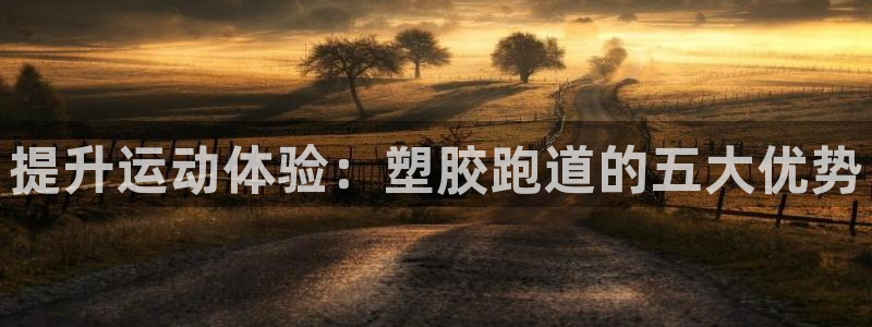 红足一一世足球网开奖记录：提升运动体验：塑胶跑道的五大优势