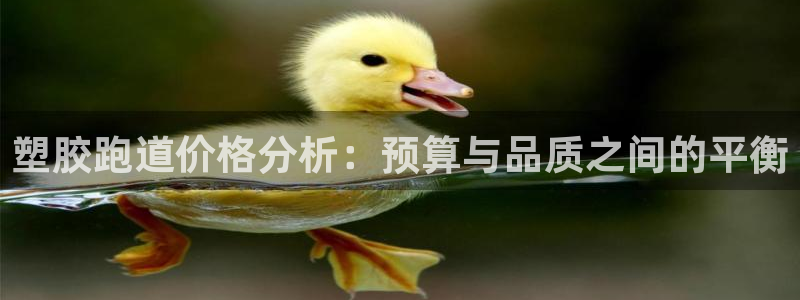 777814红·足一世比分：塑胶跑道价格分析：预算与品质之间的平衡