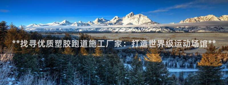 红足1一世 2站：**找寻优质塑胶跑道施工厂家：打造世界级运动场馆**