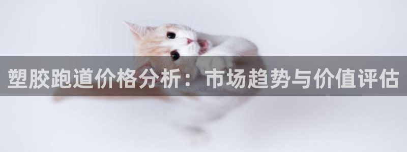 红足1世1站2站管理网：塑胶跑道价格分析：市场趋势与价值评估